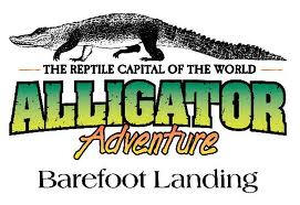 Alligator Adventure